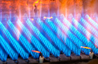 Carleton gas fired boilers